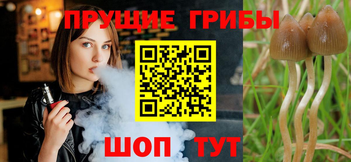 Галлюциногенные грибы Magic Shrooms  Псилоцибиновые грибы Magic Shrooms  Саров  Вход с VPN 